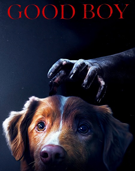 مشاهدة فيلم Good Boy 2025 مترجم
